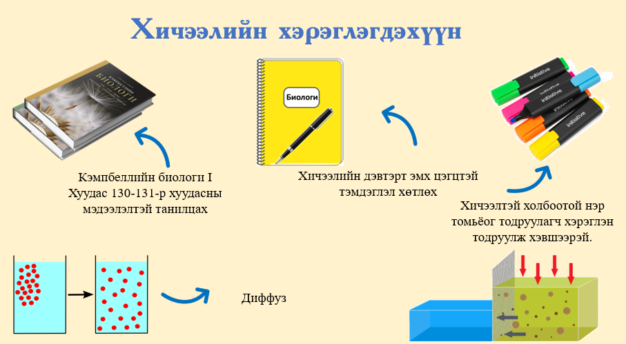 Мэдлээ | Цахим контент